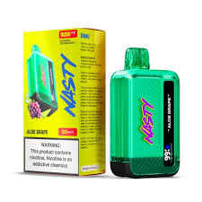 Nasty - Aloe Grape - 9000 Puffs - 5% 