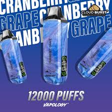 Vapology - Cranberry Grape - 12000 Puffs - 2%  
